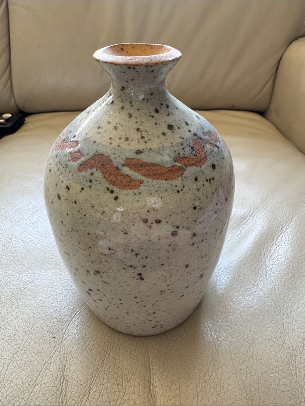 Speckled Pottery Vase with - Neutral